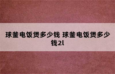 球釜电饭煲多少钱 球釜电饭煲多少钱2l